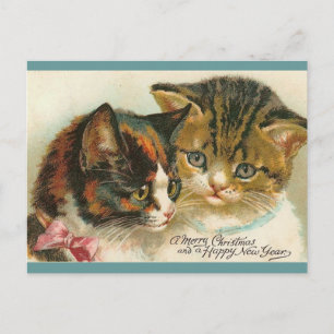 Two Kitties Christmas Holiday Postcard
