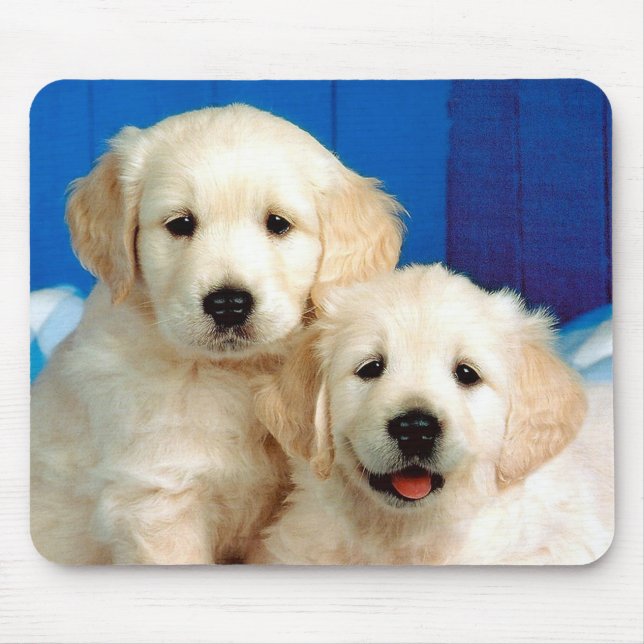 Two Labrador pups Mouse Mat (Front)