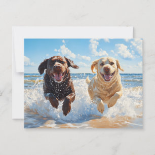 Two Labrador Retrievers on Beach Postcard