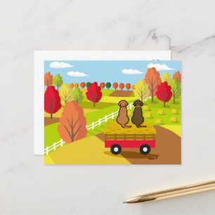 Two Labradors on the hay cart in Fall Postcard