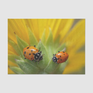 Two Lady Bugs on a Sunflower Tissue Paper