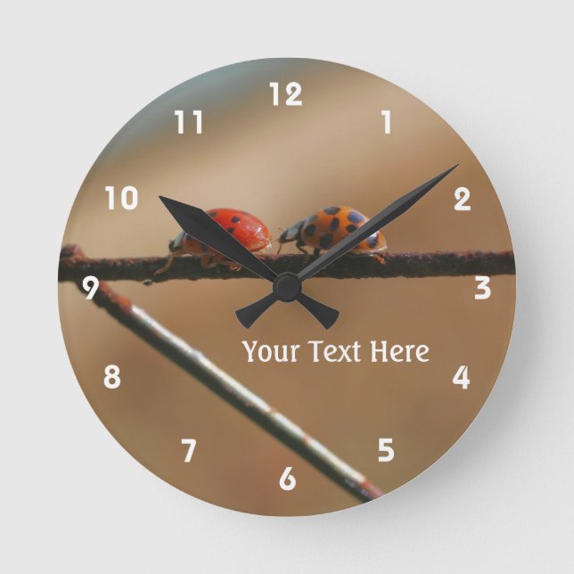 Two Ladybugs Playing Follow The Leader Nature Round Clock (Front)
