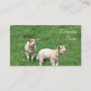 Two Lambs Business Cards