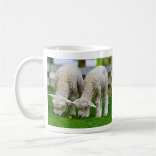Two Lambs Grazing Mug