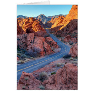 Two Lane Splendour