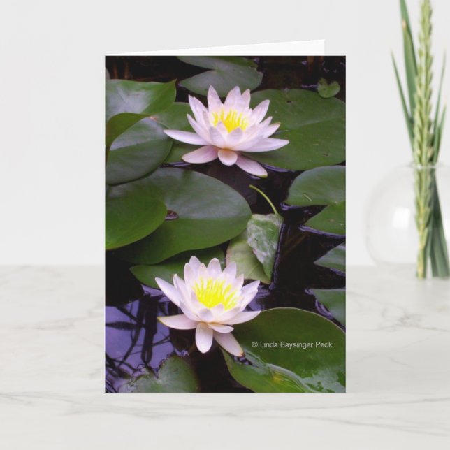 Two Light Water lilies Card (Front)