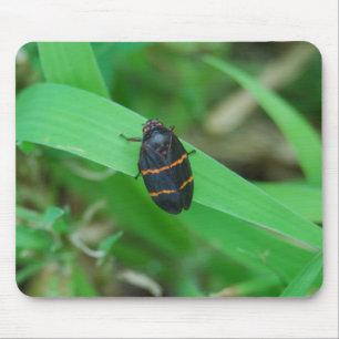 Two lined spittle bug mousepad