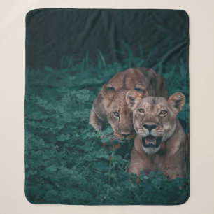 TWO LIONESS ON GREEN PLANTS SHERPA BLANKET