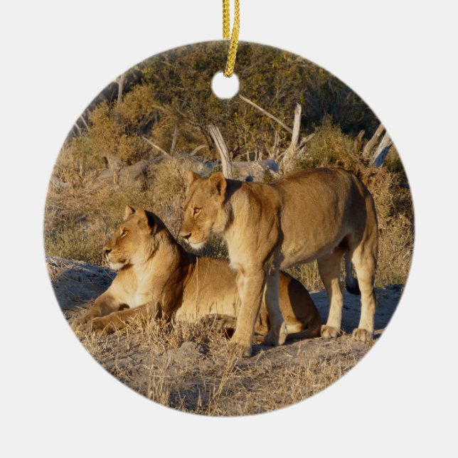 TWO LIONESSES TOGETHER CERAMIC TREE DECORATION (Front)