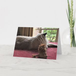 Two Lions, card