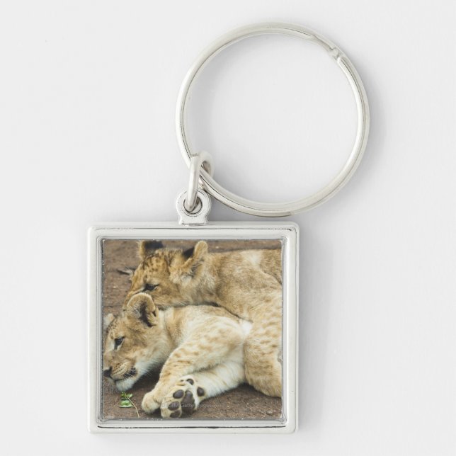 Two lions cubs playing. key ring (Front)
