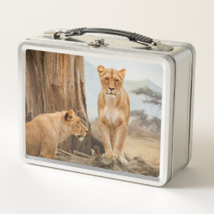 Two Lions Metal Lunch Box
