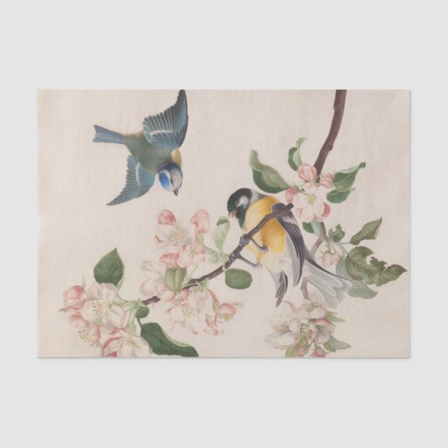Two little birds near a branch of apple blossoms,  tissue paper (Front)