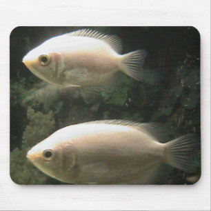 Two Little Fish Mouse Mat