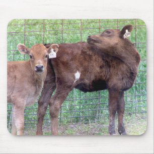 Two Little Heifers Mouse Mat