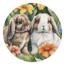 Two Little Lop Bunny rabbits