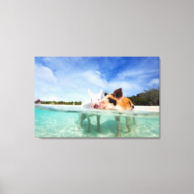 Two little piglets canvas print (Front)