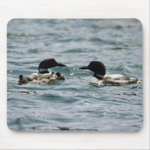 Two loons with two babies mouse mat