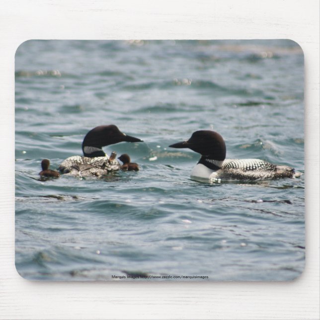 Two loons with two babies mouse mat (Front)