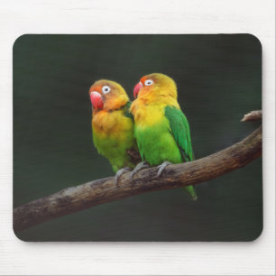 Two Lovebirds on a Branch Mouse Mat