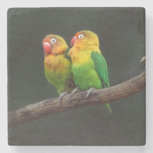 Two Lovebirds on a Branch Stone Coaster