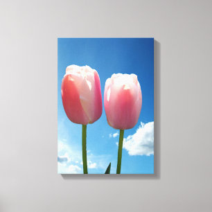 two lovely pink tulip flowers in blue sky. floral canvas print