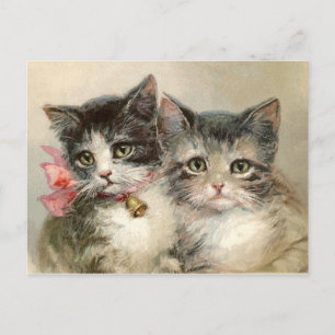 Two lovely Victorian kittens. Postcard