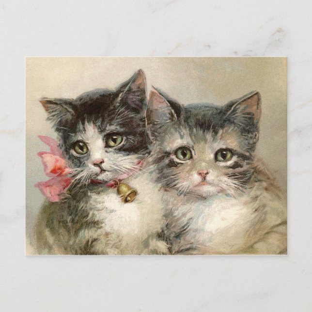 Two lovely Victorian kittens. Postcard (Front)