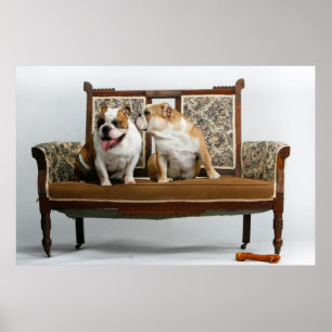 Two loving bulldogs poster