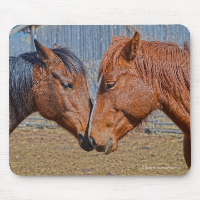 Two Loving Horses Equine Photo Mouse Mat (Front)