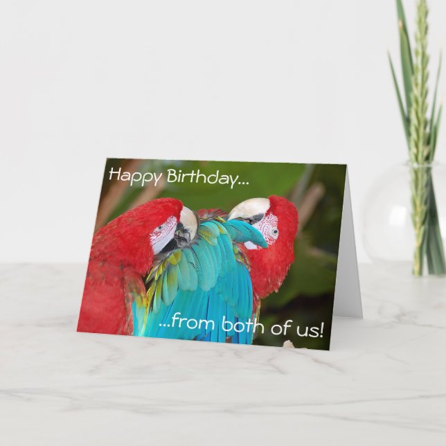 Two macaw parrots birthday greeting card (Front)