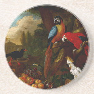 Two Macaws a Cockatoo and a Jay with Fruit Coaster