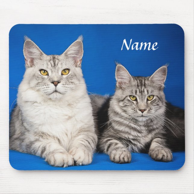 Two Maine Coon Cats Blue Mousepad (Front)