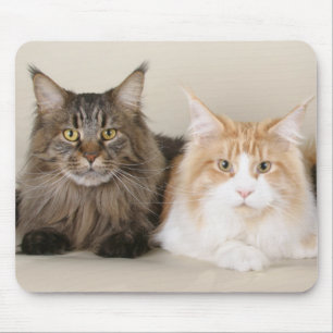 Two Maine Coon Cats Mouse Mat