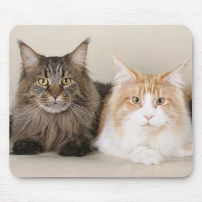 Two Maine Coon Cats Mouse Mat (Front)