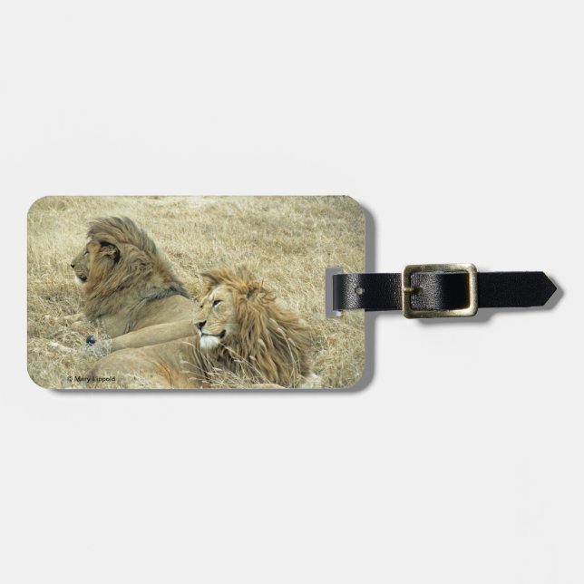 Two Male Lions Luggage Tag (Front Horizontal)