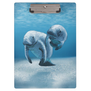 Two Manatees Swimming Clipboard