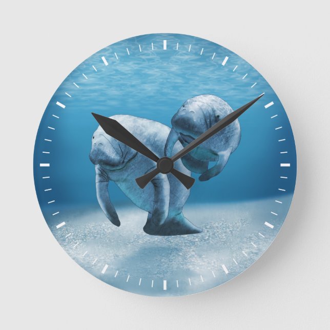 Two Manatees Swimming Round Clock (Front)