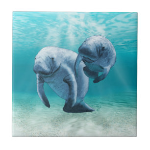 Two Manatees Swimming Tile