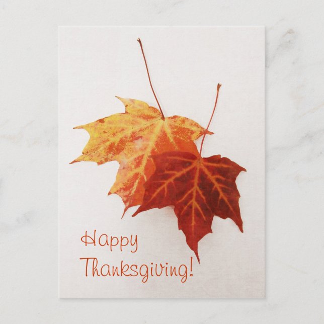 two maple leaves happy thanksgiving postcard (Front)
