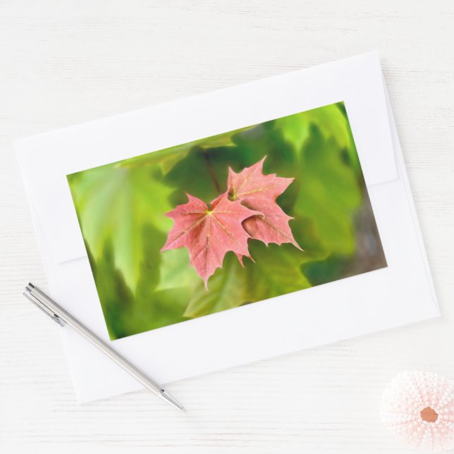 Two maple leaves rectangular sticker (Envelope)