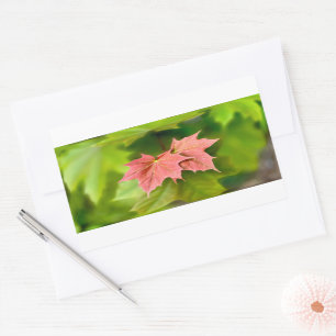 Two maple leaves rectangular sticker