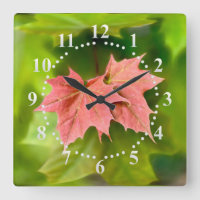 Two maple leaves