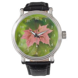 Two maple leaves watch