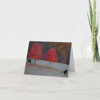 two maples three cows card