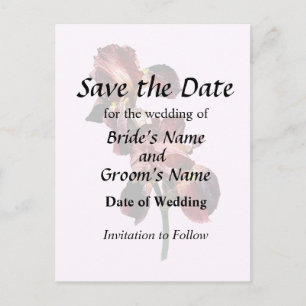 Two Maroon and Yellow Irises Announcement Postcard