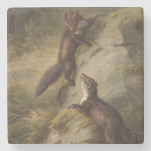 Two Martens Playfully Fighting in the Woods Stone Coaster