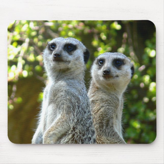 Two Meerkats Mouse Mat (Front)