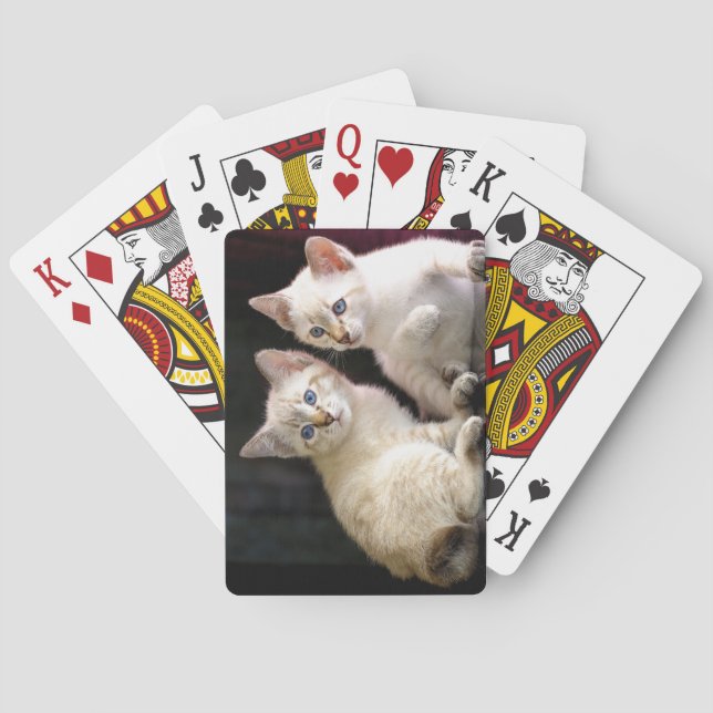Two Mekong Bobtail Tabby Point Kittens Playing Cards (Back)