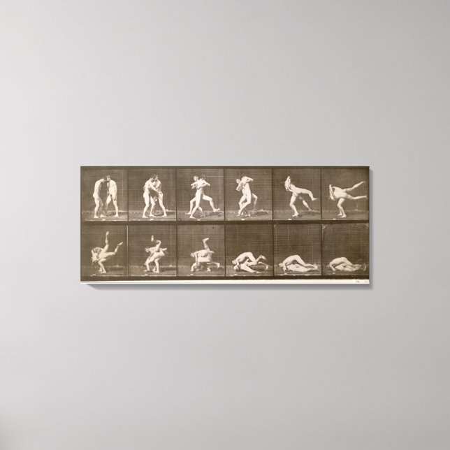 Two Men Wrestling, plate 347 from 'Animal Locomoti Canvas Print (Front)